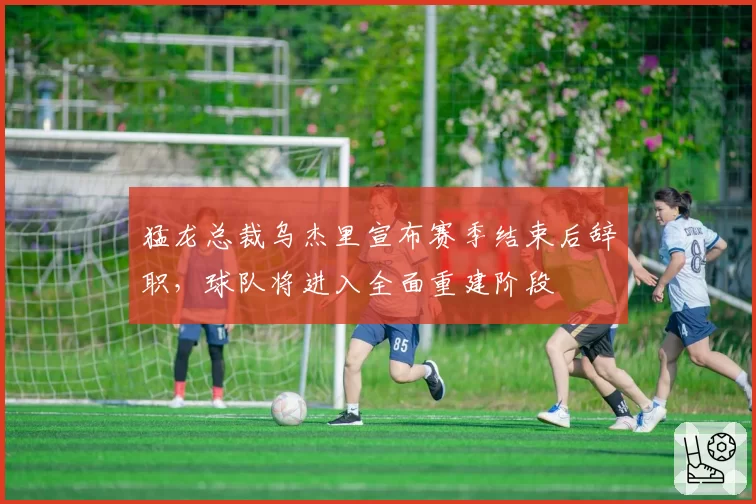 猛龙总裁乌杰里宣布赛季结束后辞职，球队将进入全面重建阶段